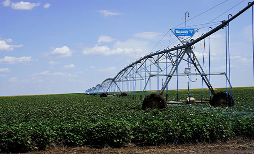Irrigation system watering crops.