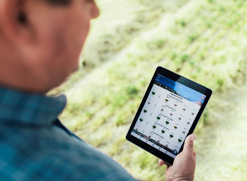 Farmer looking at the forecast to plan ahead.